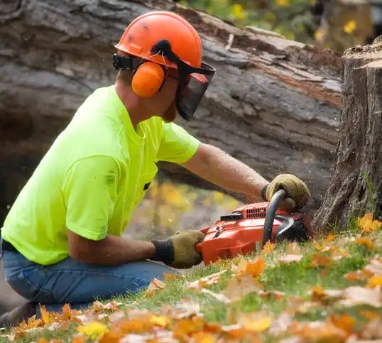 tree services Pawnee City